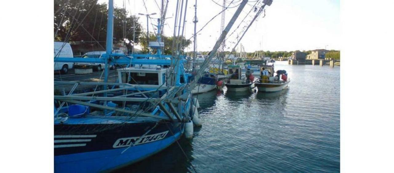 La Palombiere, Plage A 150M Meschers-sur-Gironde Exteriör bild